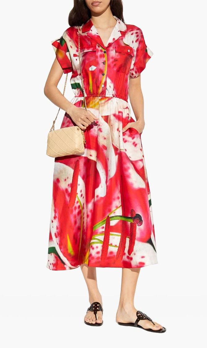 Graphic-Print Midi Dress