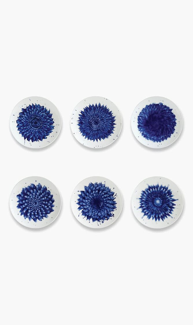 Set of 6 Coupe Salad Plates