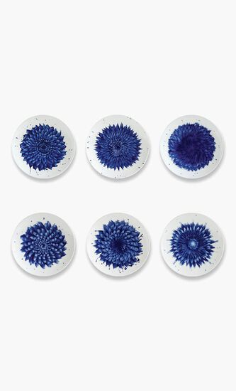 Set of 6 Coupe Salad Plates