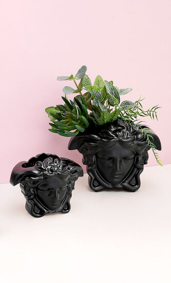 Medusa Grande Vase