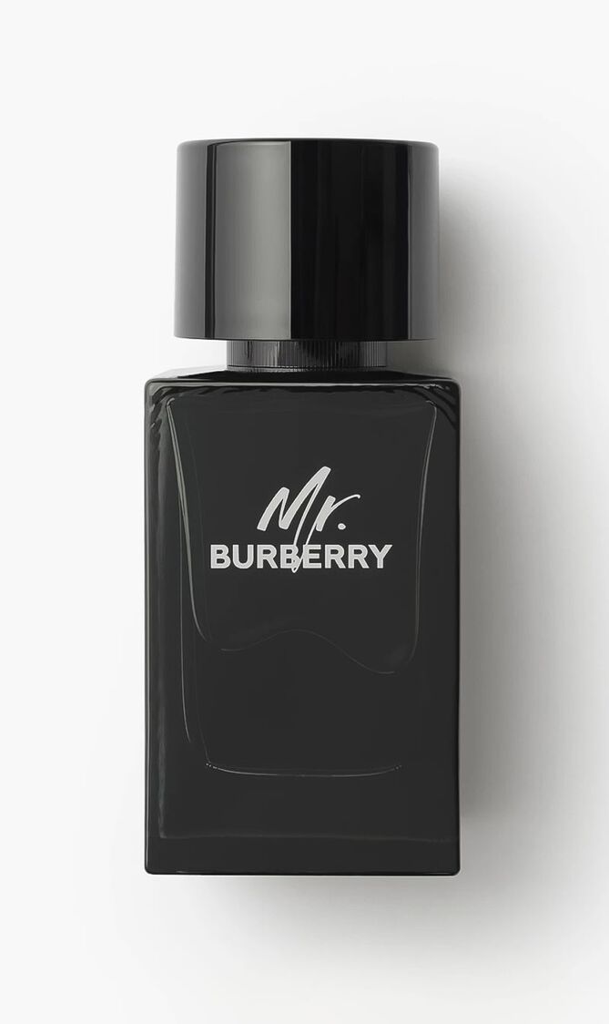 Mr. Burberry, Eau De Parfum, 100ml