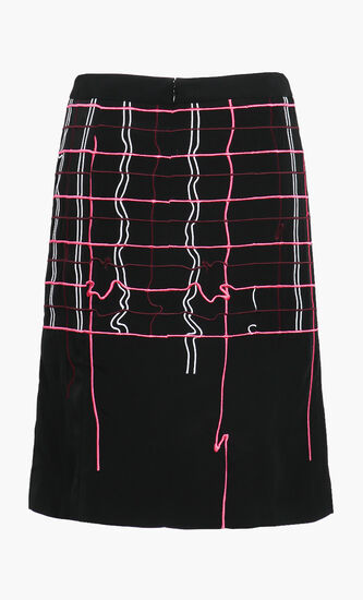 Embroidered Skirt