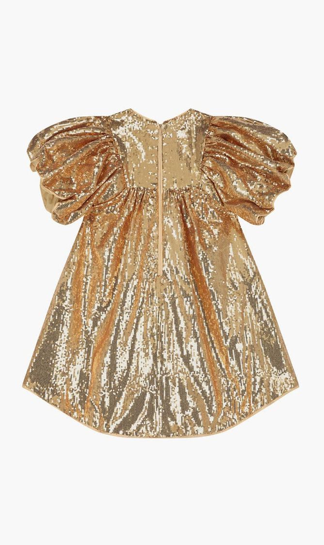Gold Sequin Dress