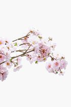 Cherry Blossom Spray