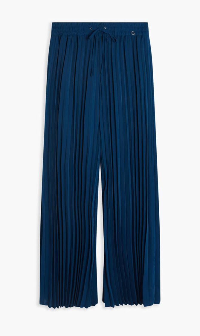 Pleated Pants