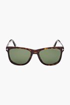 Dark Havana Sunglasses