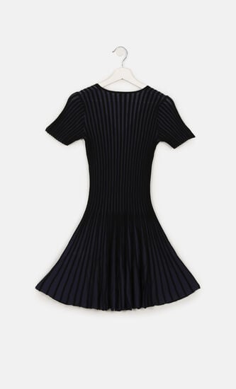 Two Tone Pleated Fit & Flare Dress