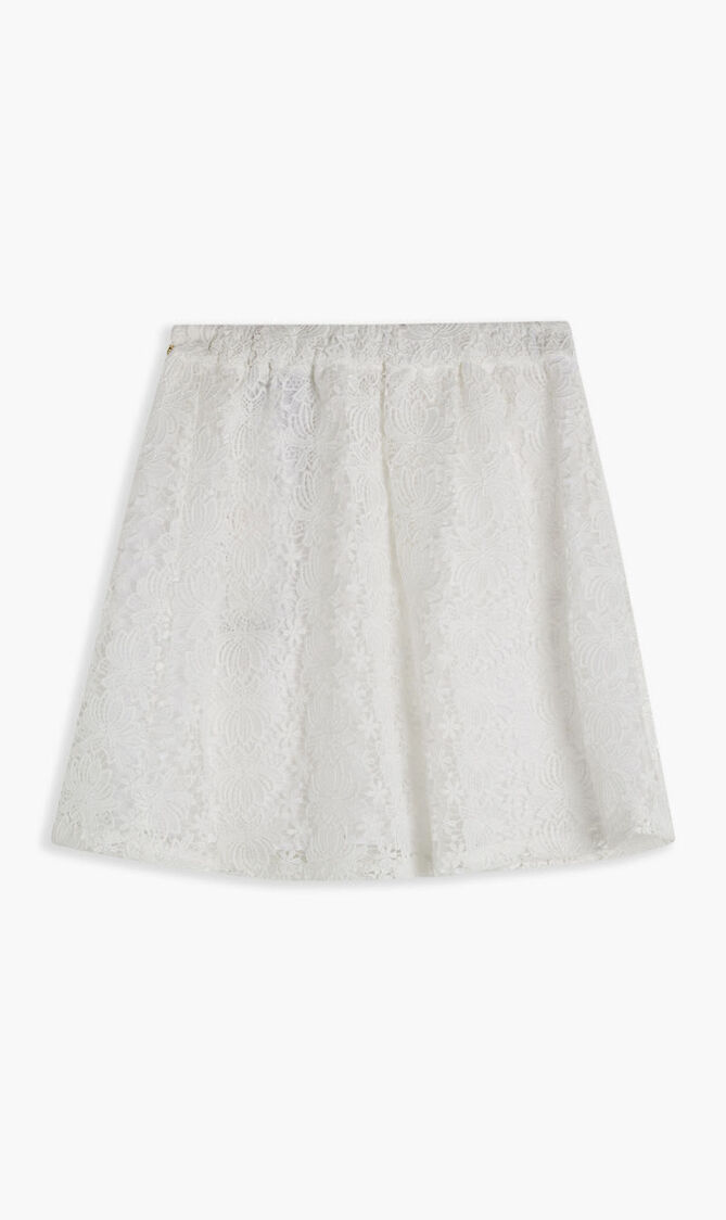 Lace Skirt