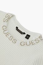 Sweater Dress Sweater Dress