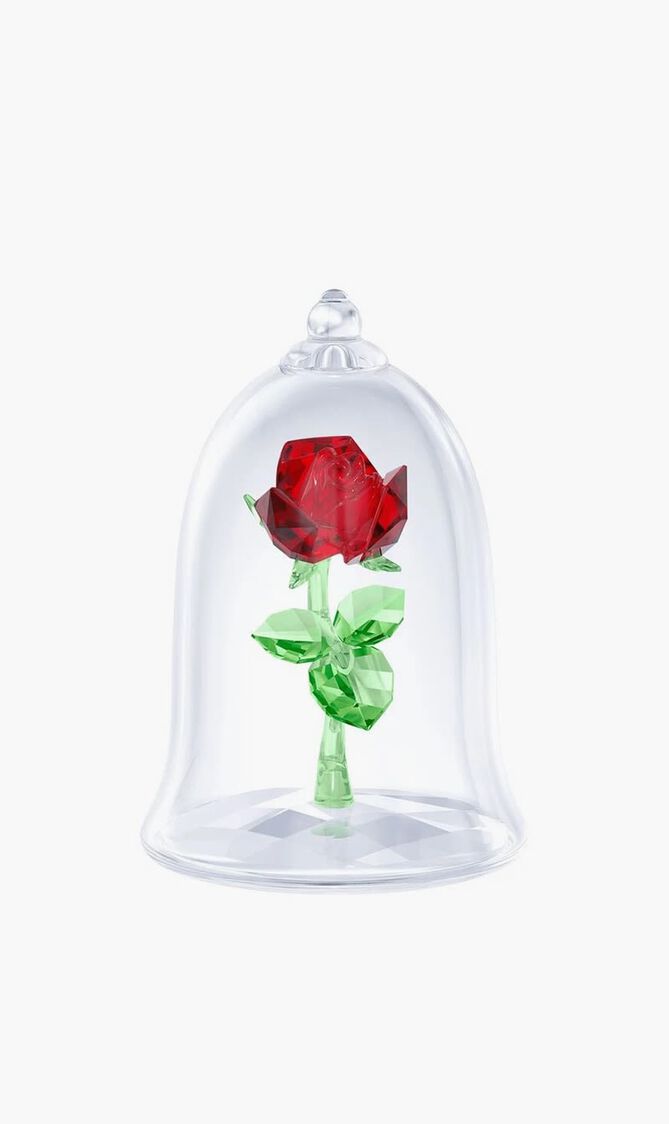 Enchanted Rose