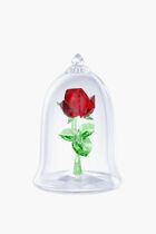 Enchanted Rose