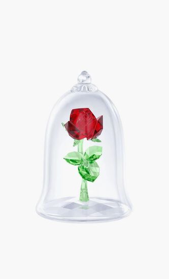 Enchanted Rose