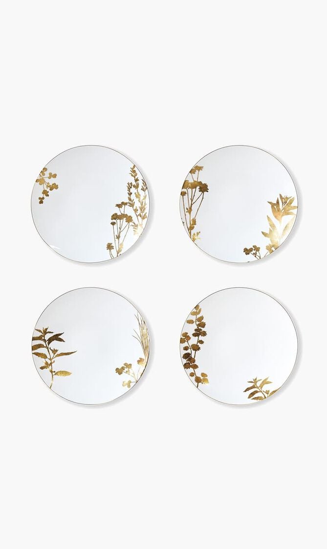 Vegetal Set of 4 assorted dinner plates 26cm