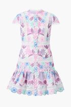 Danielle Embroidered Dress