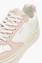 Hoxton Sneakers Hoxton Sneakers