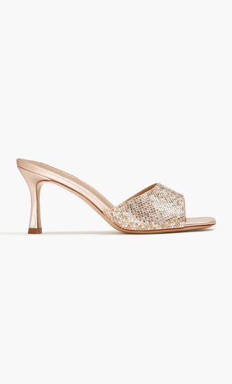 Cielo mules