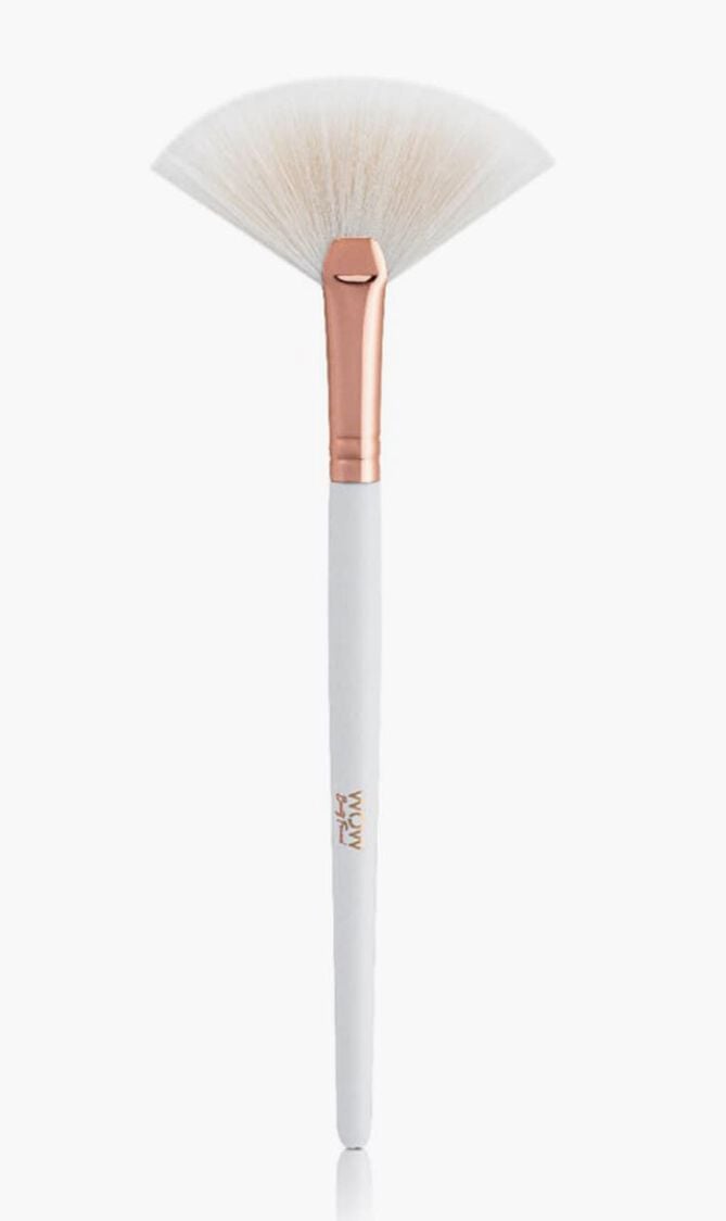 FAN BRUSH