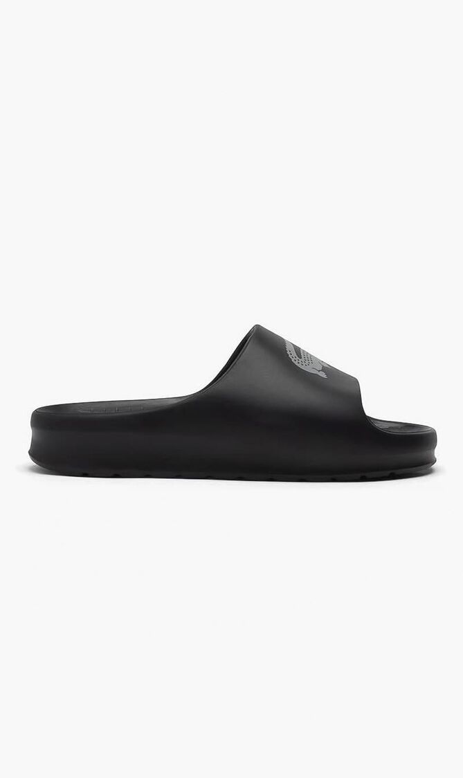 Serve 2.0 Slides