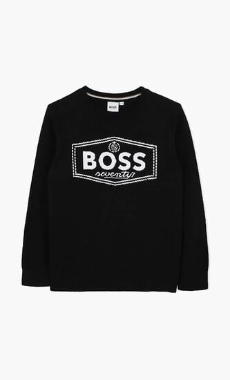 Logo Pullover