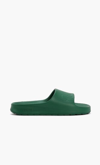 Classic Logo Slides