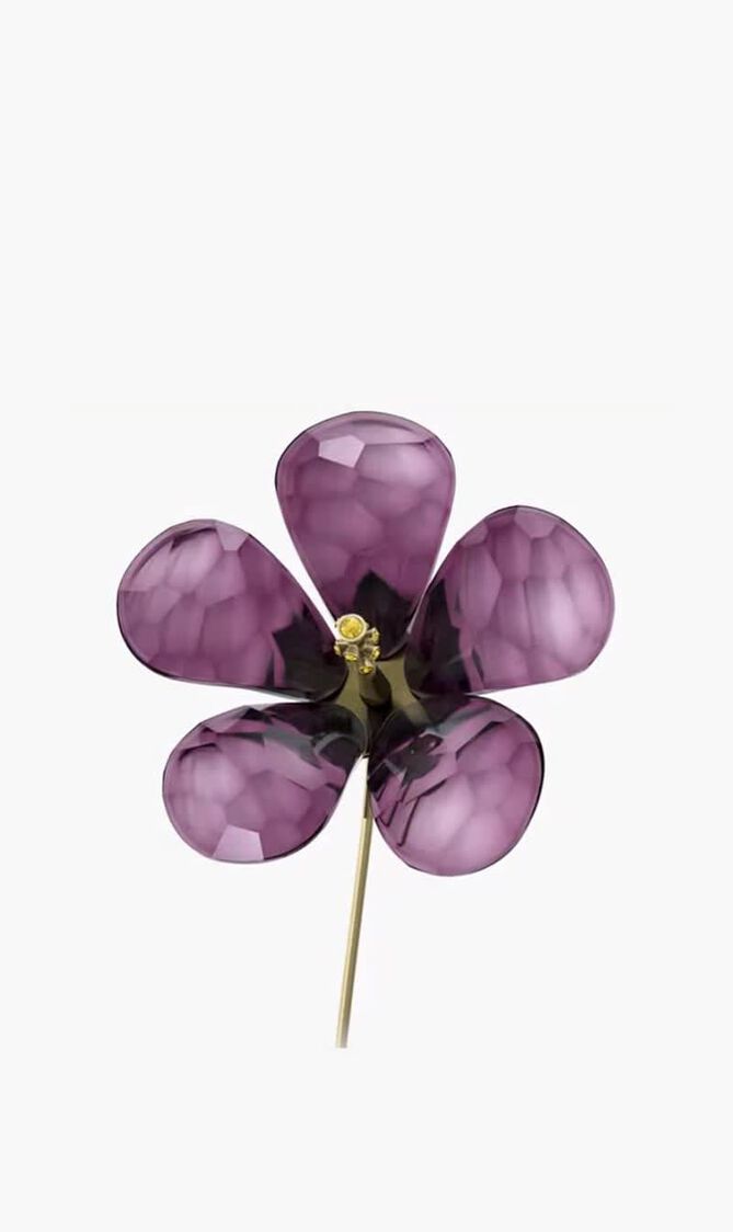 CL GARDEN TALES HIBISCUS