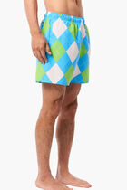Printed Swim Trunks