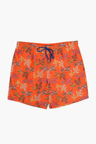 Turtle Printed Shorts