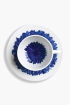 Coffee Cup and Saucer