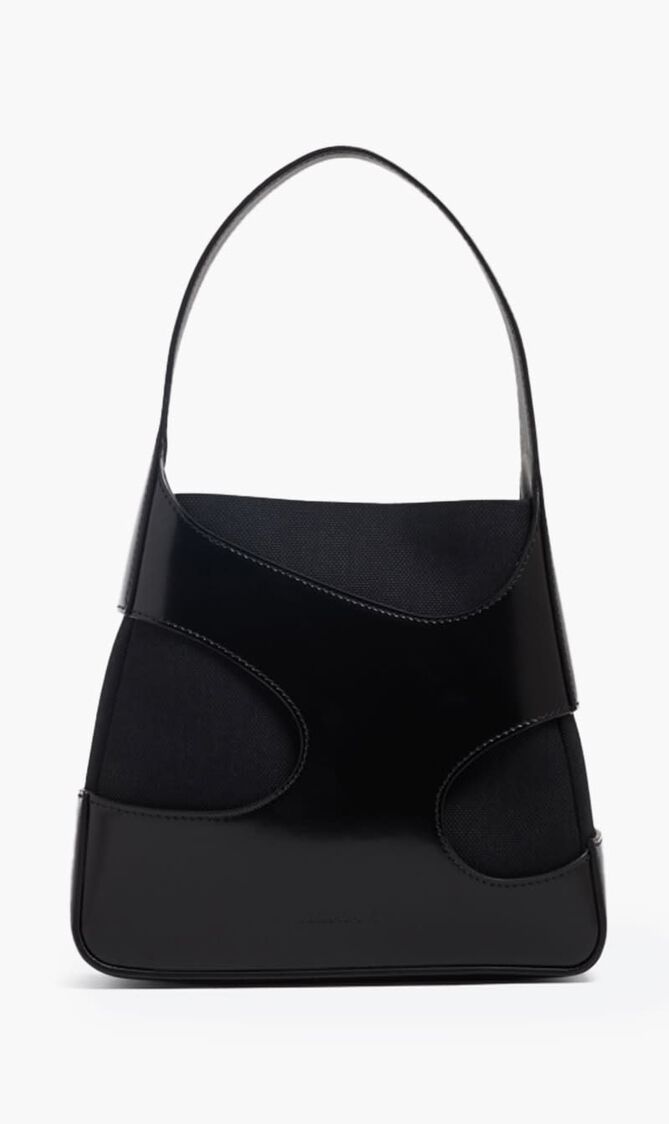 Small Hobo Bag