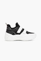 Kelly Canvas Trainer