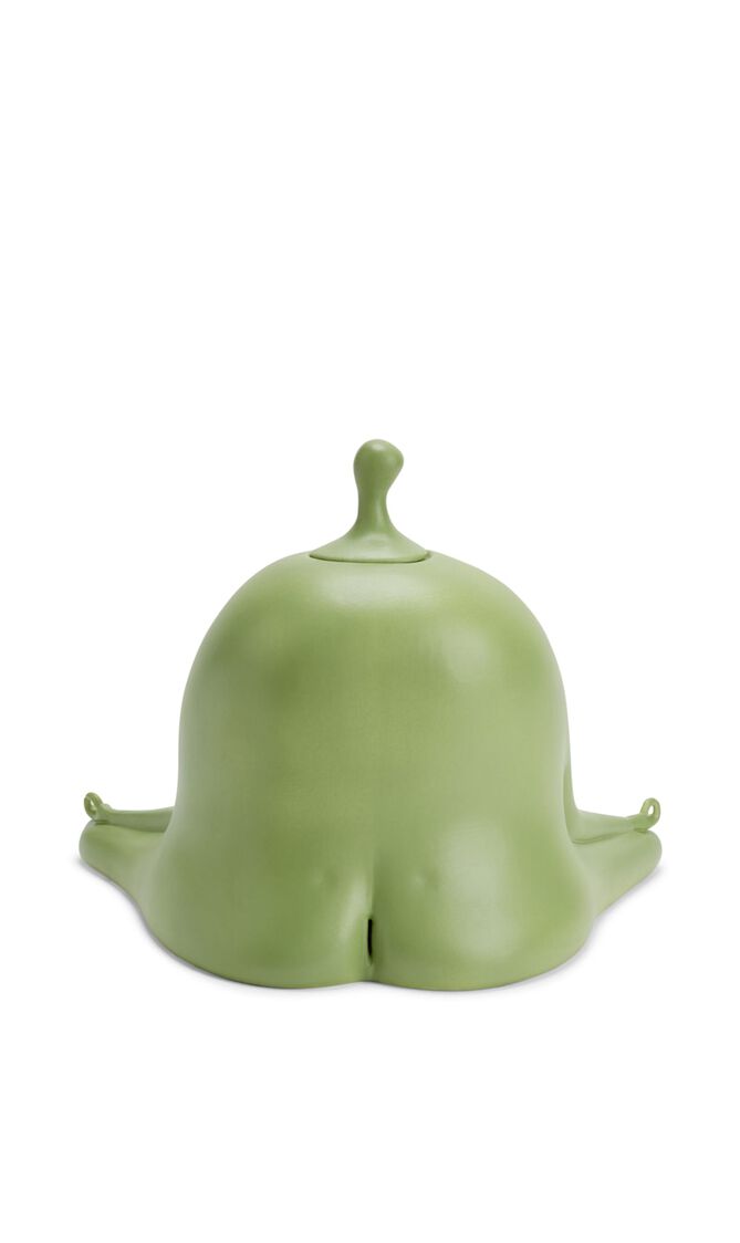 مبخرة هاس ميديتيتور