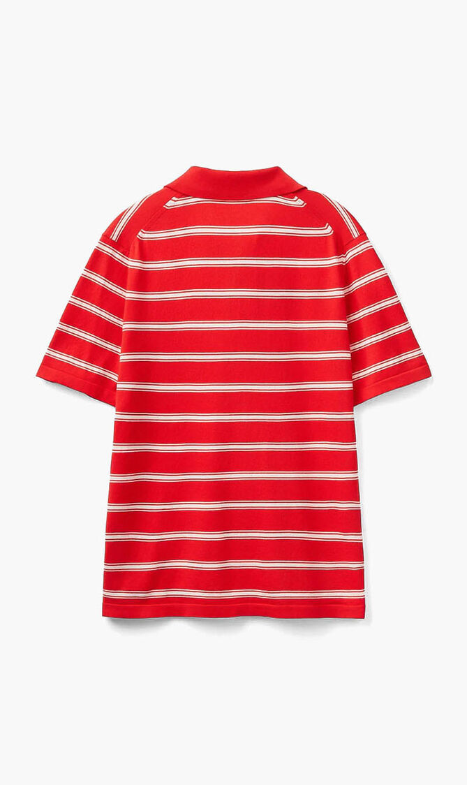 Striped Knit Polo Shirt