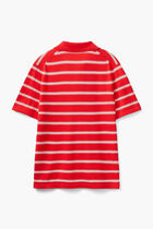 Striped Knit Polo Shirt