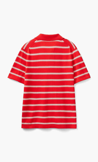 Striped Knit Polo Shirt