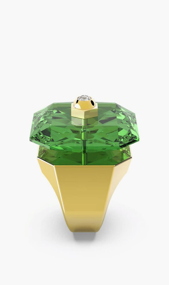 SJC STUDIOSA RING L ERIN GOS 60 MM