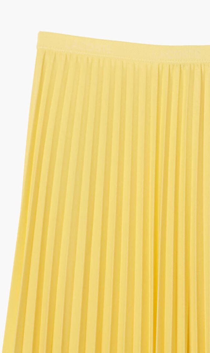 Elasticised Waist Pleated Skirt