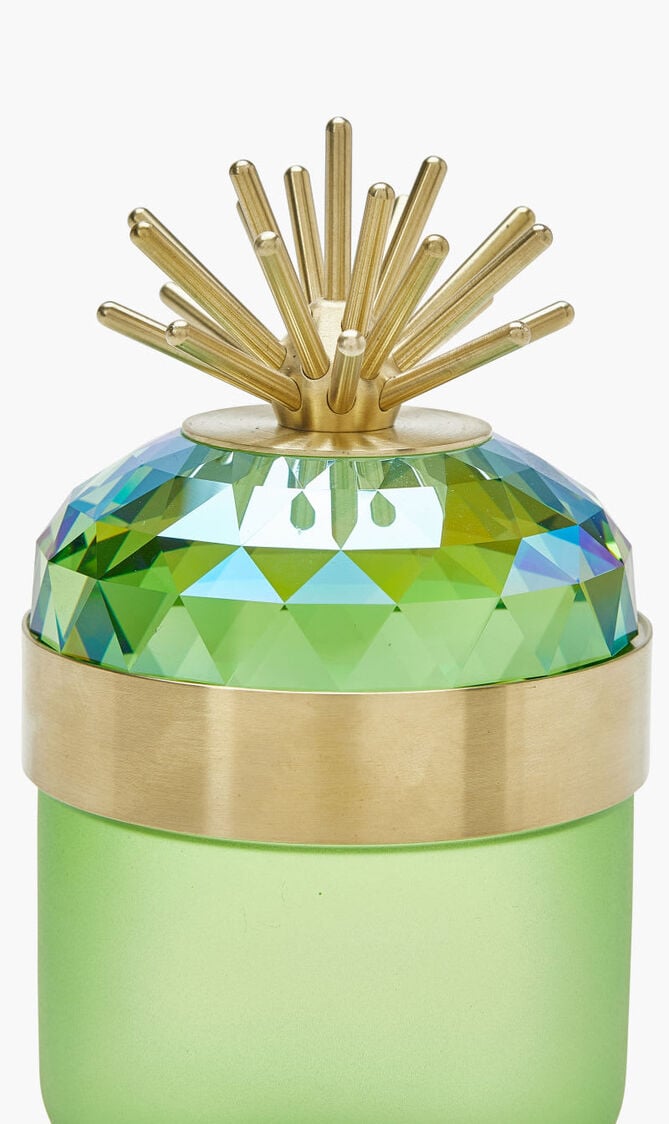 CL JUNGLE BEATS DECOR BOX LIGHT GREEN