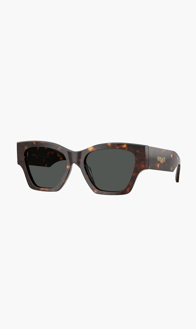 Havana Sunglasses