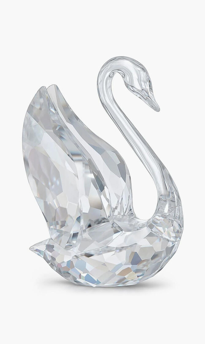Signum Swan