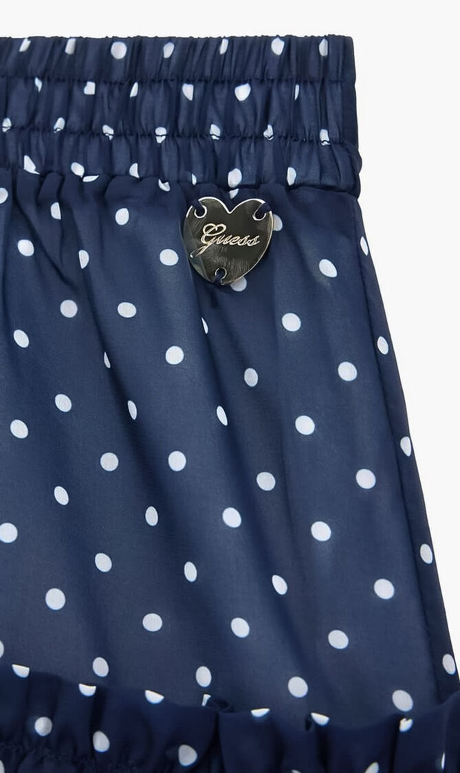 Chiffon Skirt