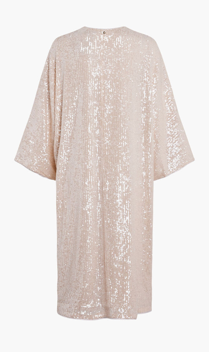 All Over Sequin Dress