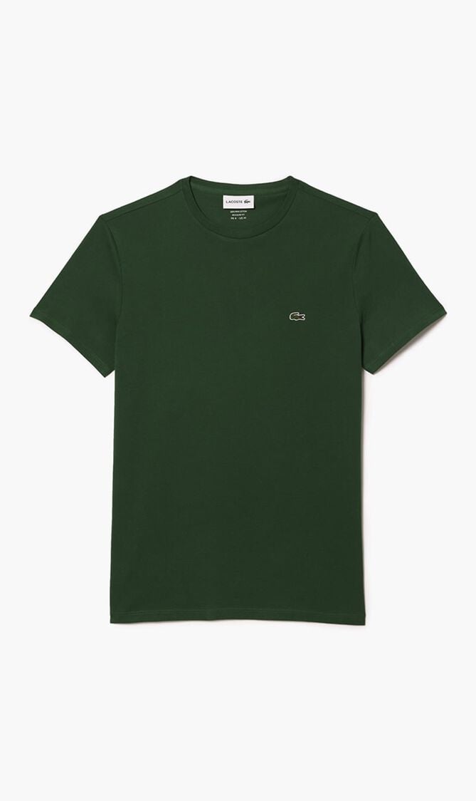Regular Fit Pima Cotton Jersey T-Shirt