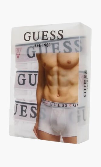 Brian Hero Boxer Trunk