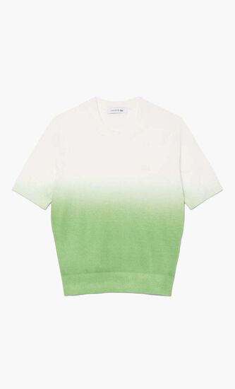 Short Sleeved Ombre Effect Sweater