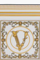 VSC VIRTUS GALA WHT_ DISH 14 CM