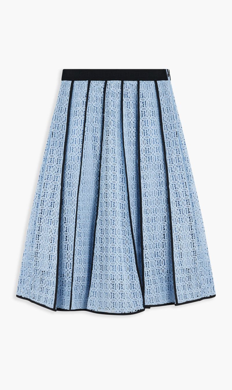 Embroidered lace skirt cheap