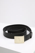 Golden Plate Buckle Men's Belt