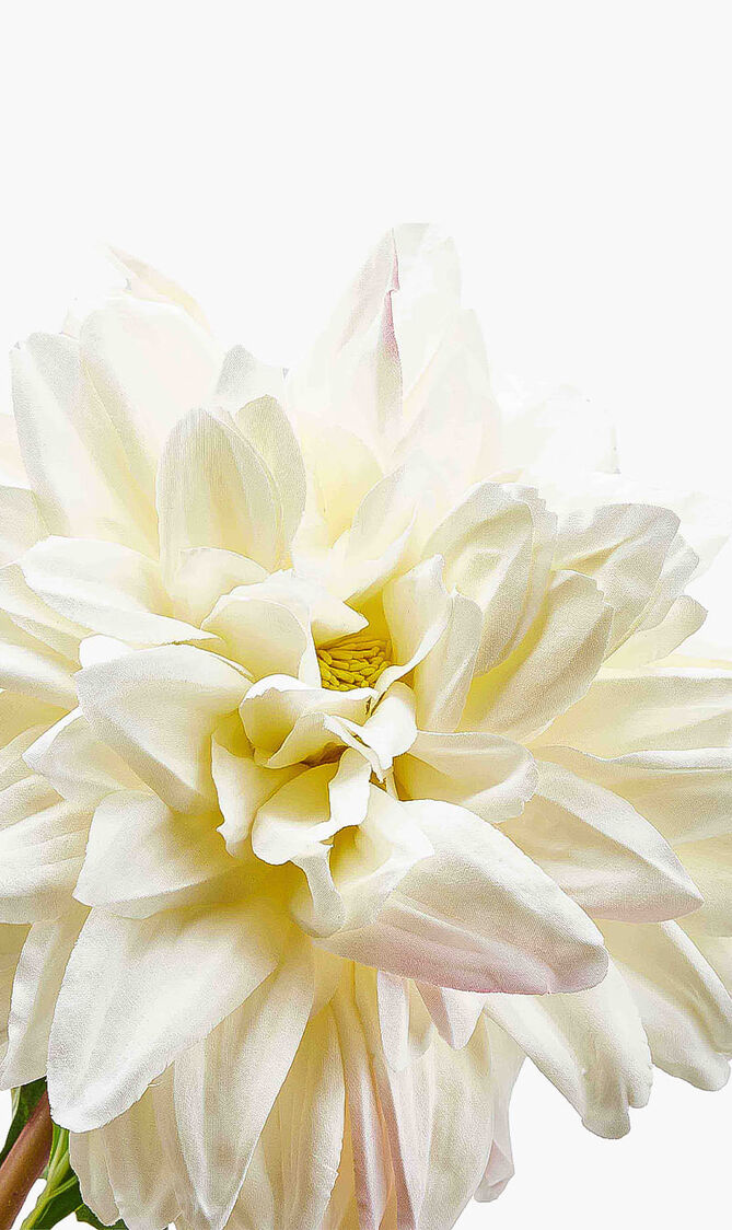 زهرة أضاليا الاصطناعية