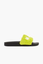 Logo Terry Slides
