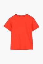 Short Sleeves T-Shirt